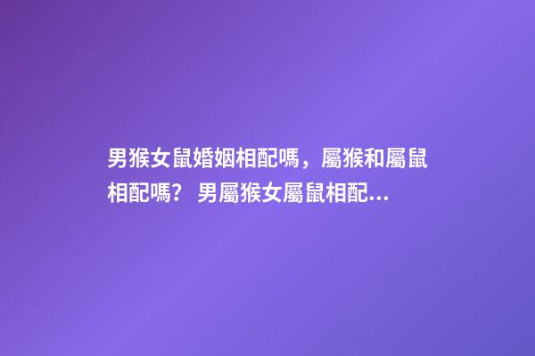 男猴女鼠婚姻相配嗎，屬猴和屬鼠相配嗎？ 男屬猴女屬鼠相配嗎-第1張-觀點(diǎn)-玄機(jī)派